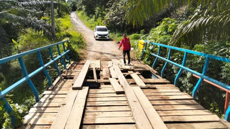 IMG-20250521-WA0003_copy_874x492