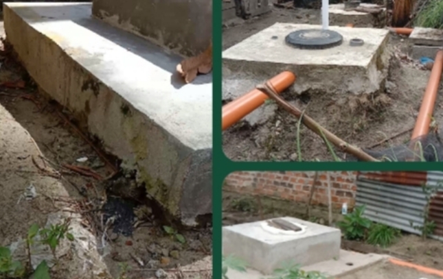 Screenshot_2026-02-12-07-38-55-93_40deb401b9ffe8e1df2f1cc5ba480b12