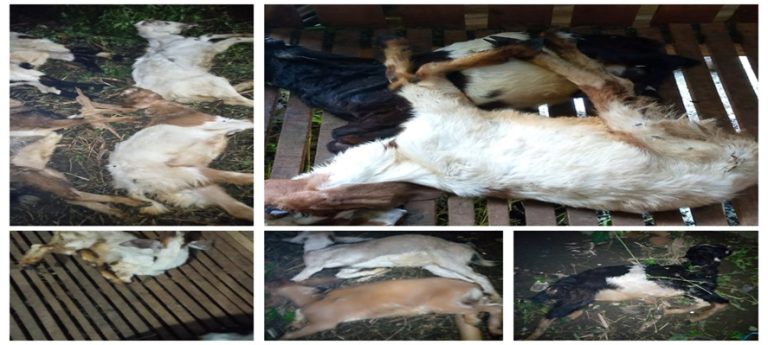 WhatsApp Image 2026-04-21 at 14.11.23